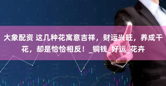 大象配资 这几种花寓意吉祥，财运兴旺，养成干花，却是恰恰相反！_铜钱_好运_花卉