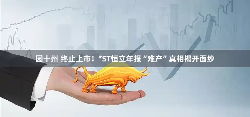 园十州 终止上市！*ST恒立年报“难产”真相揭开面纱