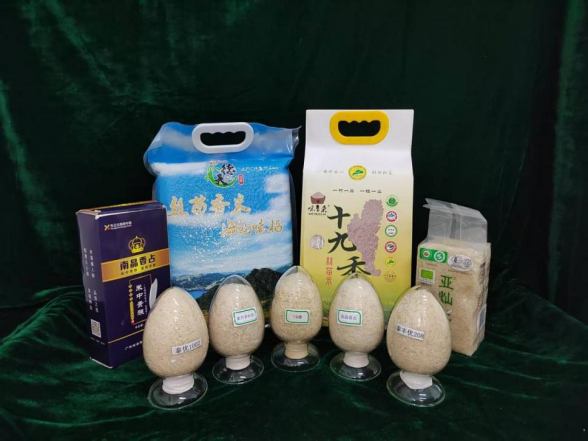 富隆咨询 科技赋能岭南特色现代农业，省农科院多领域发力支撑产业体系建设