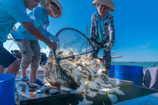 宏发证券 沪上鲜享粤味！8月26日在上海外滩，解锁广东海鲜新吃法