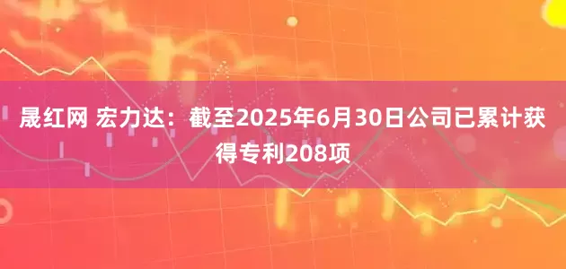 晟红网 宏力达：截至2025年6月30日公司已累计获得专利208项