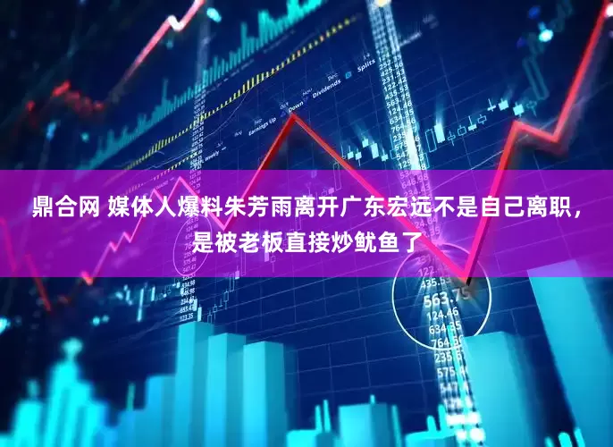 鼎合网 媒体人爆料朱芳雨离开广东宏远不是自己离职，是被老板直接炒鱿鱼了