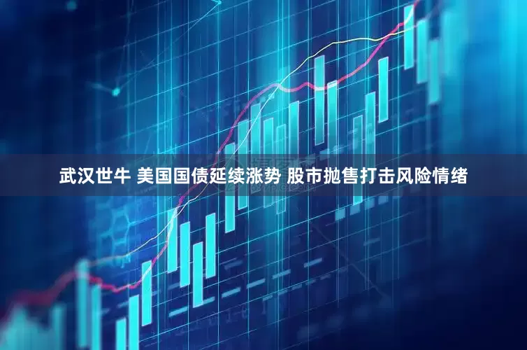 武汉世牛 美国国债延续涨势 股市抛售打击风险情绪